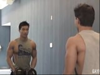 stud: muscle